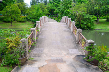 Beautiful bridge in the park