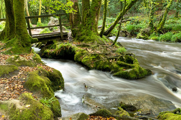 Obraz premium The River Fowey