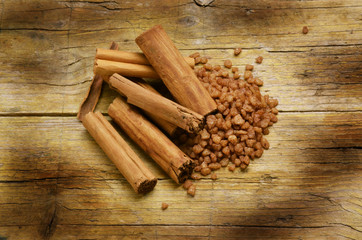 Cinnamomum verum Ceylon-Zimtbaum Expo Milano 2015