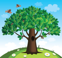 Oak tree