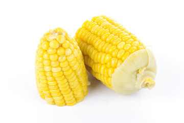 Fresh cook corn