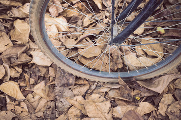 bicycle and autumn dry leaves fall on the ground
