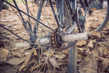 bicycle and autumn dry leaves fall on the ground