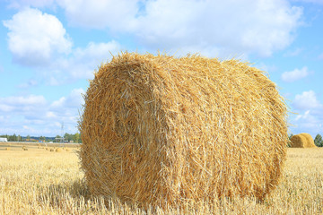 twist hay field cleaning