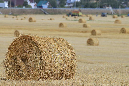 twist hay field cleaning