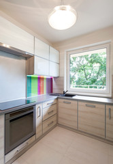 Bright colorfull contemporary kitchen