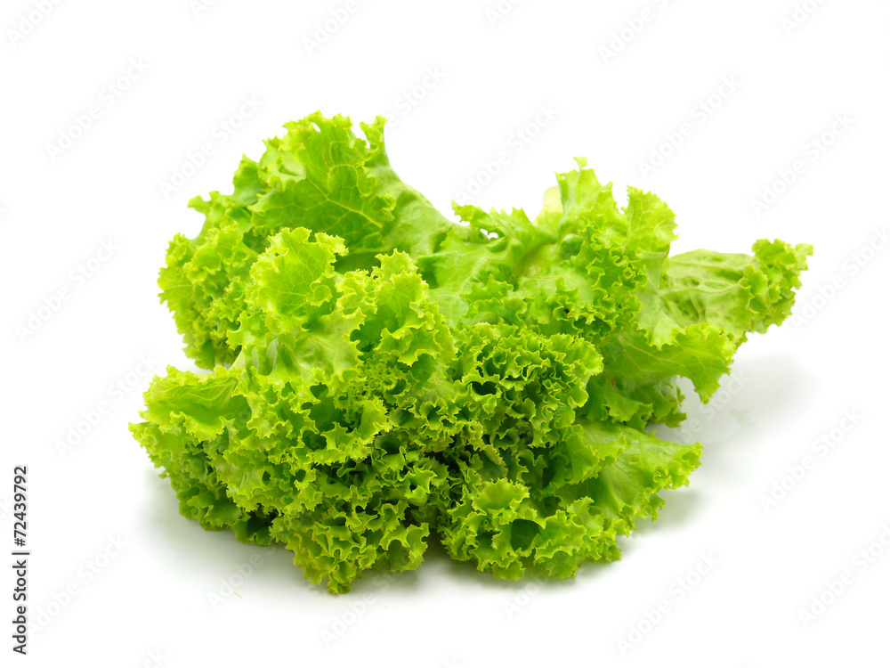 Canvas Prints Lettuce