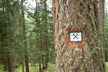 Fototapeta premium Path sign