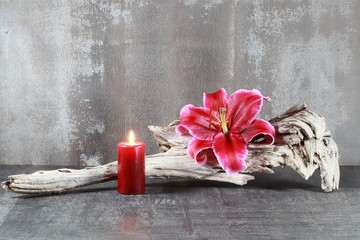 Lilie und Kerze © Bernd S.