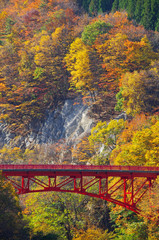 松川渓谷　赤い橋と紅葉