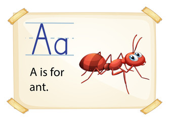 Alphabet A