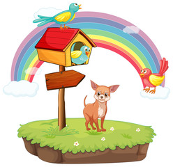 Dog and birdhouse