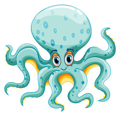 Octopus