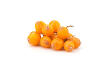 Fresh sea buckthorn isolated on the white background