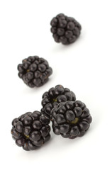 Blachberry isolated on white background closeup