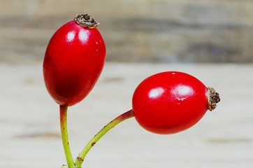 Two rosehips