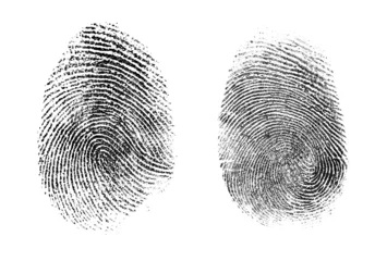 Fotobehang fingerprint or thumbprint set isolated © Andrey Kuzmin