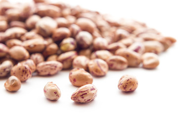 Legumes