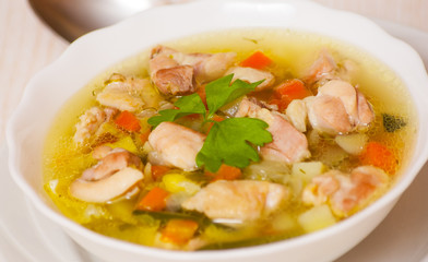 chicken soup with vegetables