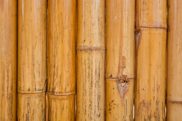 Dry Bamboo pole pattern