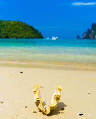 Tropical Symbol Idyllic Image