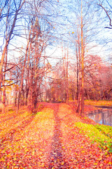 Fototapeta premium Autumn Leaves Foliage of Gold