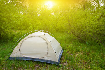 white touristic tent in a forest