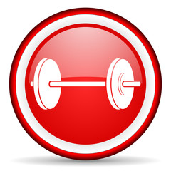 fitness web icon