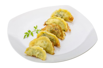 Japan dumplings - gyoza