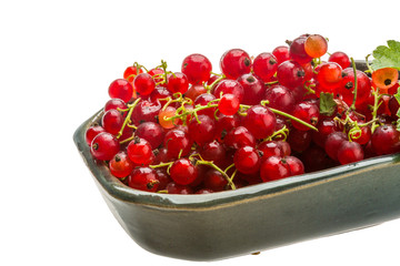 Red currant