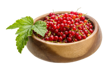 Red currant