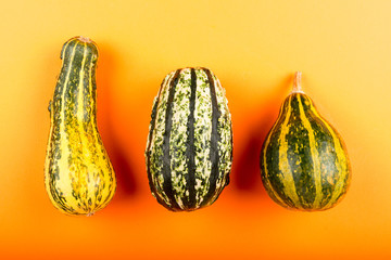 Pumpkins isolated on orange background