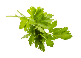 Parsley