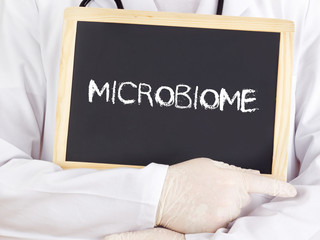 Doctor shows information: microbiome