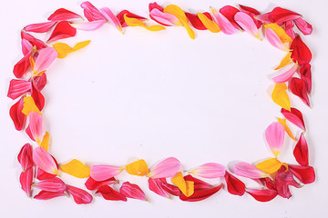frame of flower petals