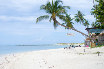 Fototapeta na wymiar Palm beach landscape on Samui island