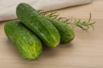 Cucumber