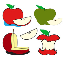 Apples and Slices Vector