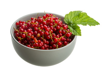 Red currant