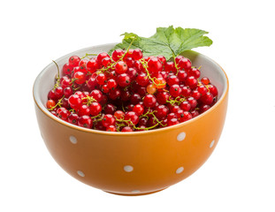 Red currant