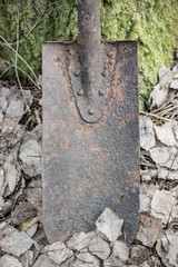 Old rusty shovel blade stuck into the ground
