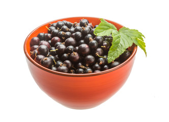 Black currant