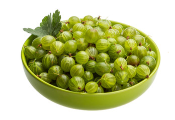 Gooseberry