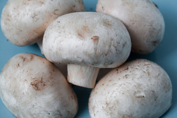 Fototapeta na wymiar Шампиньоны, грибы
