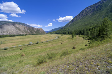 Meadow with haystacks in the mountains. Altai, Russia.