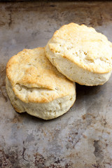 Homemade Biscuits