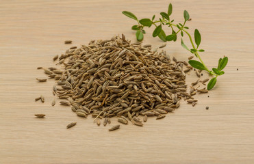 Zia seeds