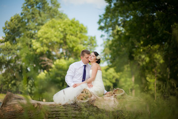 Fototapeta na wymiar beautiful newlyweds in wedding day in the woods