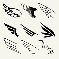 Wings set on white background, vector
