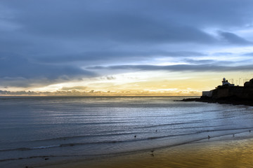 Obraz premium lighthouse and birds on beach